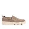 Altre Scarpe Donna: Art Company 1784 SILK SUEDE TAUPE/BELLEVILLE
